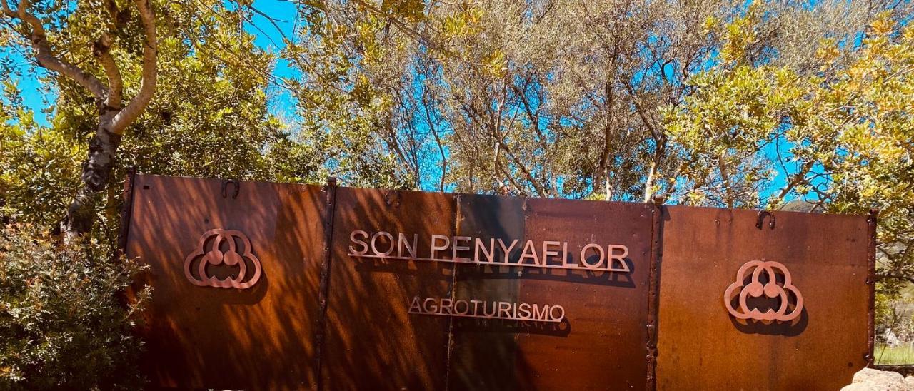 Agroturismo Son Penyaflor Konuk evi Alaró Dış mekan fotoğraf